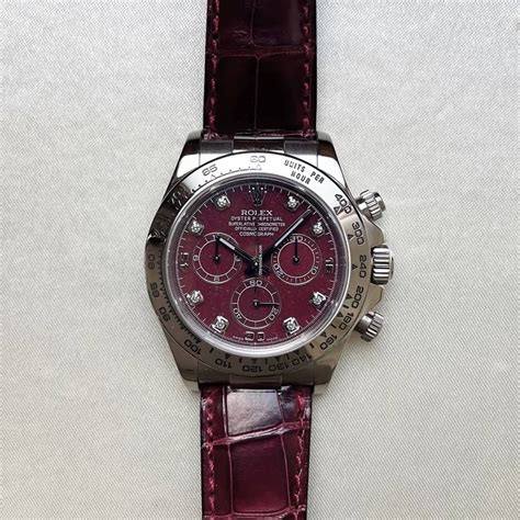 rolex daytona rubellite|Rolex daytona watch price.